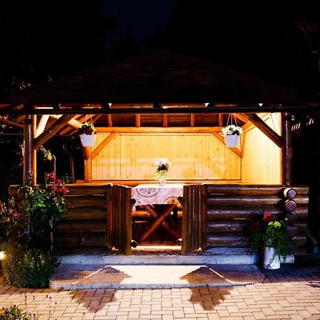 Casa Tudor Топлица Экстерьер фото